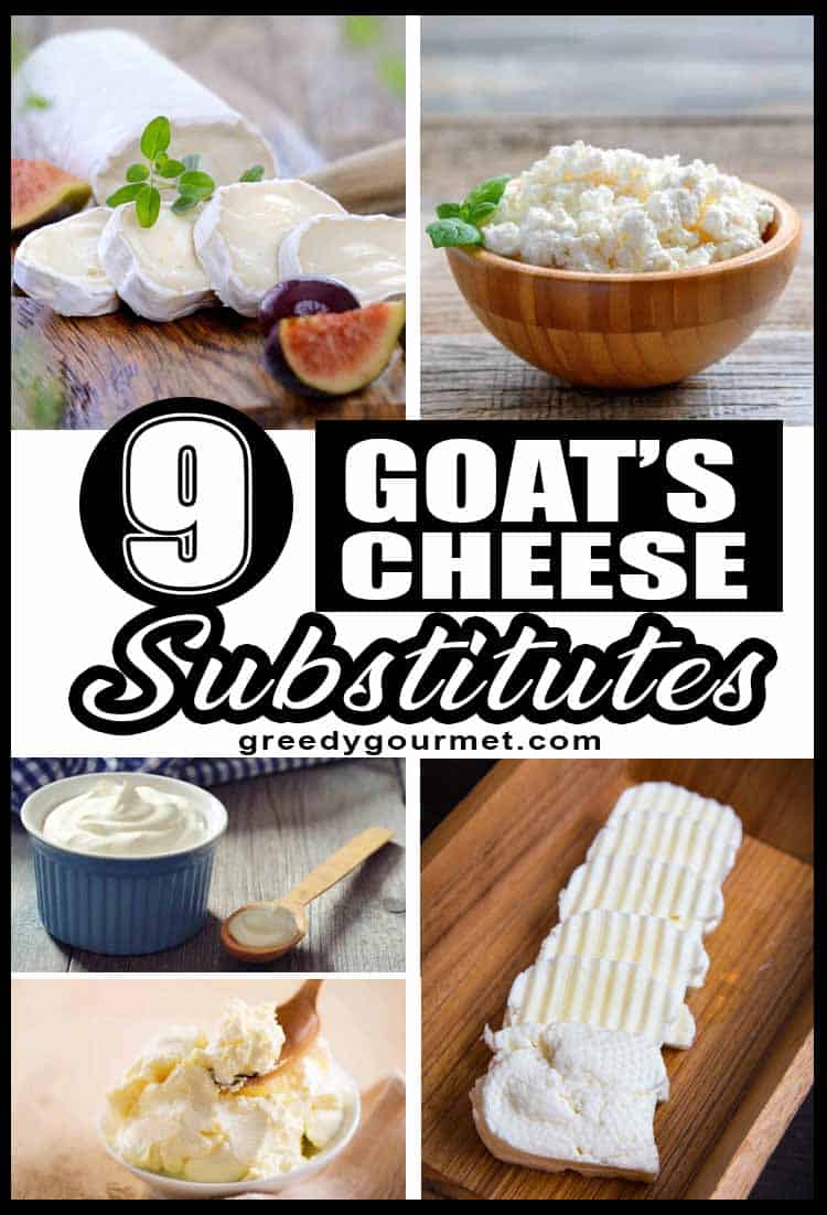 9 Goat's Cheese Substitutes Ultimate Guide For Substituting Goat's Cheese